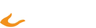 light-logo